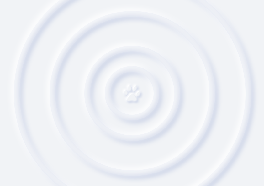 巧克力醬啊的個(gè)人主頁(yè)（封面預(yù)覽） - 主頁(yè)封面設(shè)置 - 站酷設(shè)計(jì)師巧克力醬啊原創(chuàng)素材 - 站酷ZCOOL