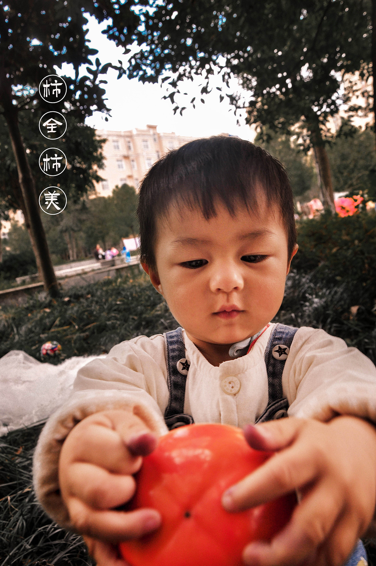 秋.柿（图ZMjMwNjQ1Njc2） - 人像摄影 - 站酷设计师芸夏的夏天原创素材 - 站酷ZCOOL