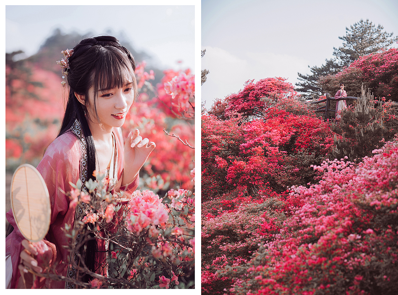 一路山花不负侬