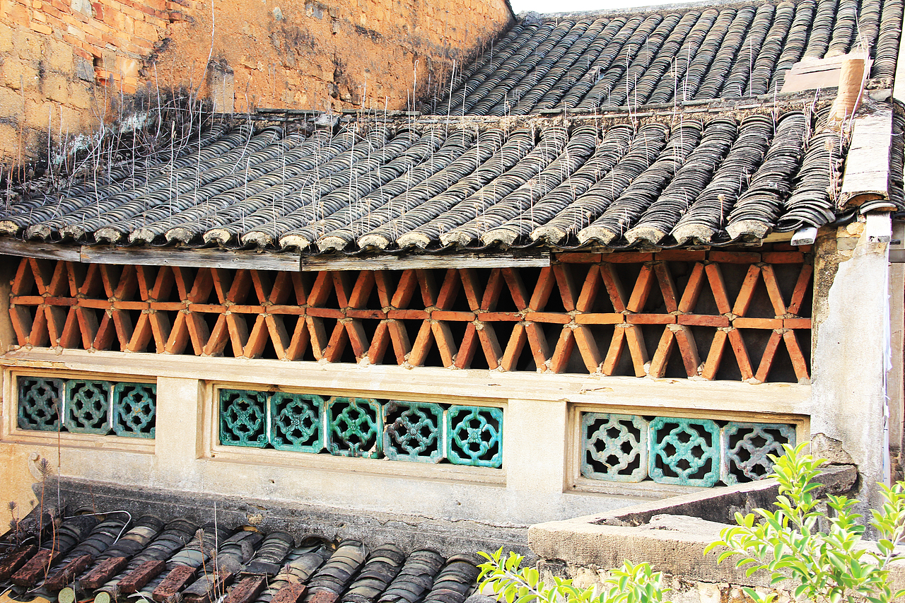 长满瓦松的屋顶