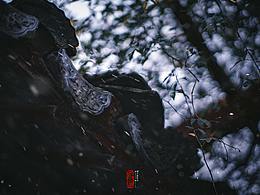 景