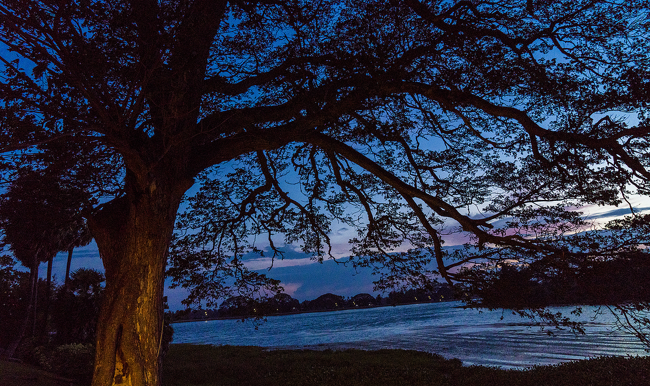 斯里兰卡.湖边.黄昏（图ZODA1OTMxOTY=） - 风光摄影 - 站酷设计师明原创素材 - 站酷ZCOOL