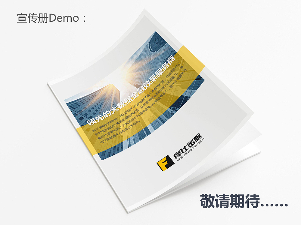 金融服务公司品牌VI设计、标志设计、LOGO设计、官网设计提案PPT