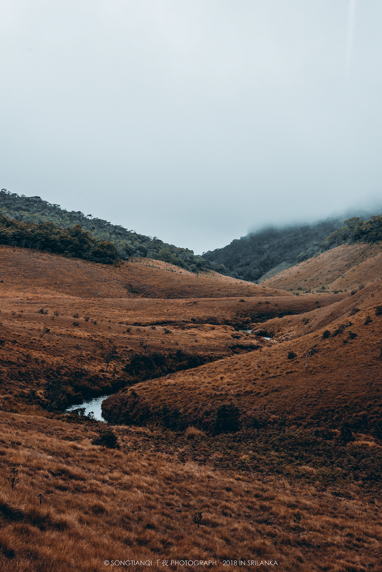 行走在印度洋上的眼泪——斯里兰卡°