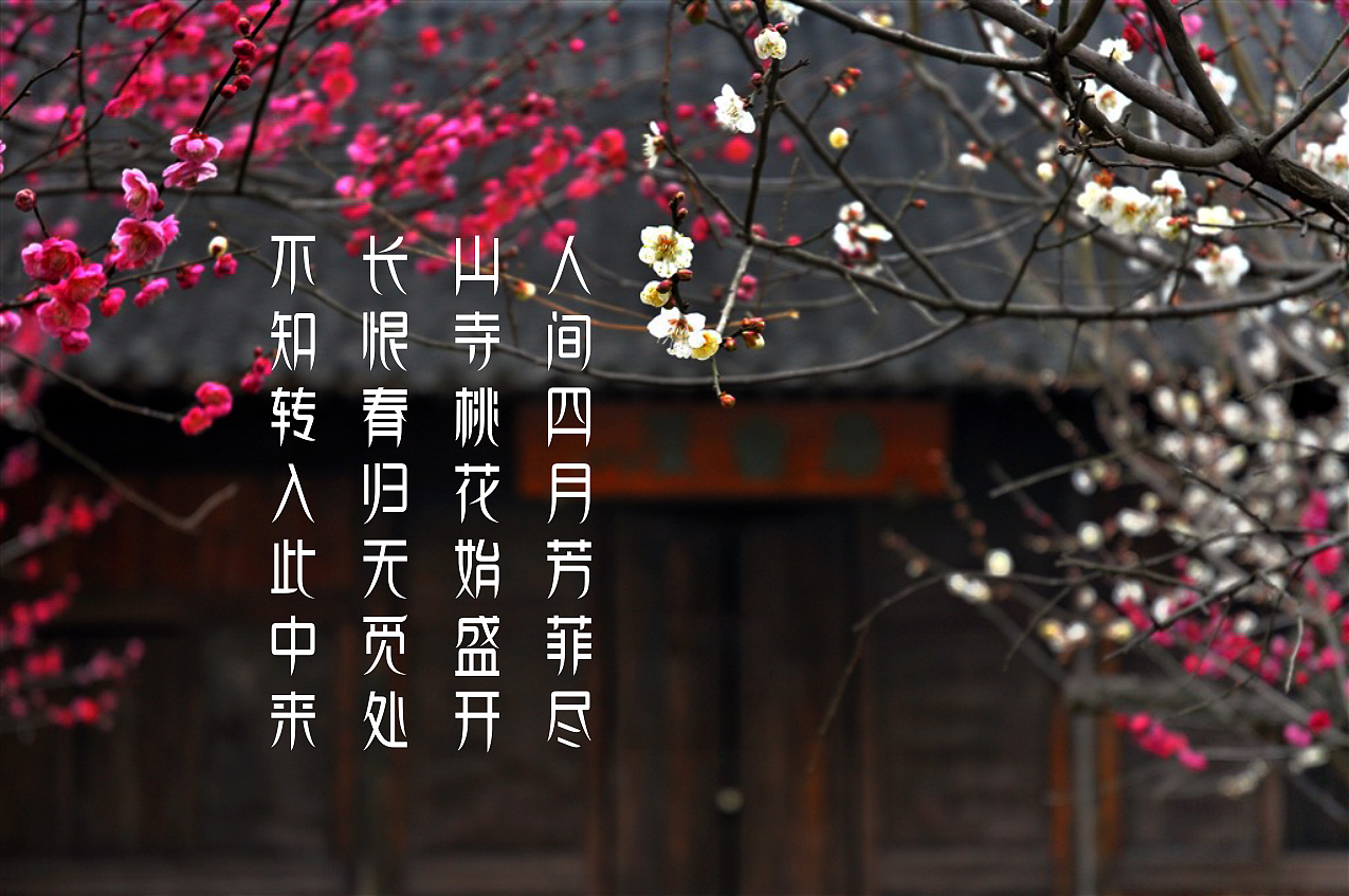 江南春柳体（图ZODU5NDM4MDA=） - 字体/字形 - 站酷设计师禾思设计原创素材 - 站酷ZCOOL
