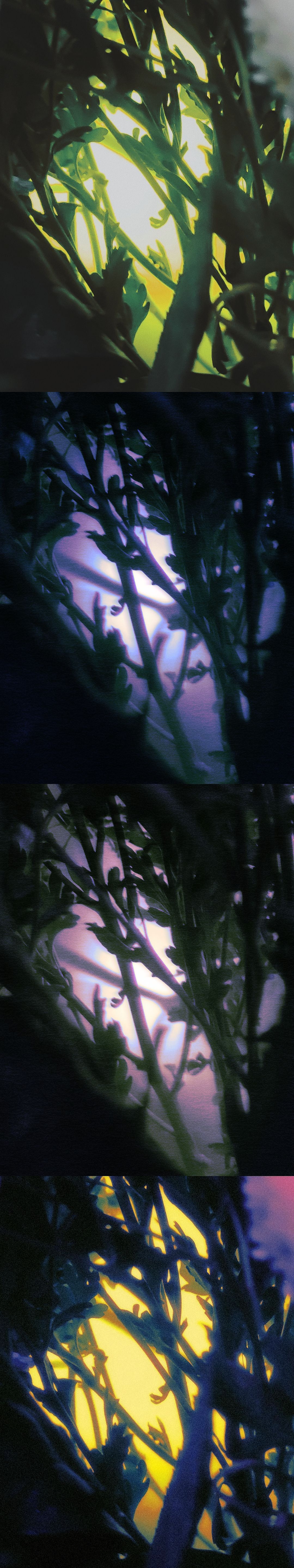 2022的光怪陆离（图ZMzI3OTExNDQ0） - 时尚/艺术摄影 - 站酷设计师游荡太空猫原创素材 - 站酷ZCOOL