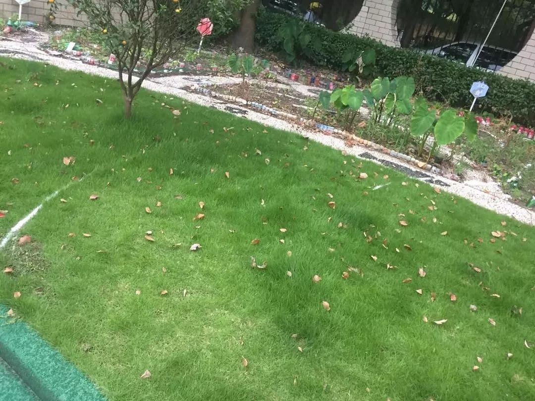 这是设计师献给孩子的最好礼物!