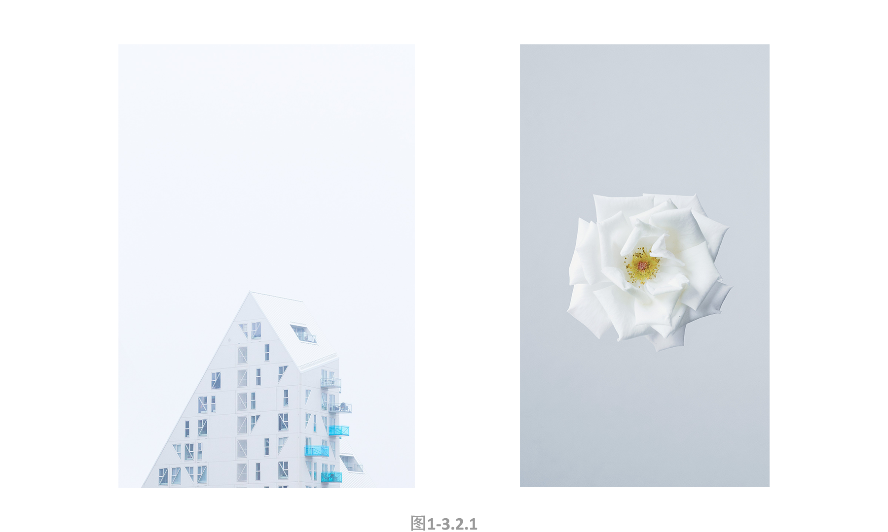 负面关键词:平淡,虚无,距离感