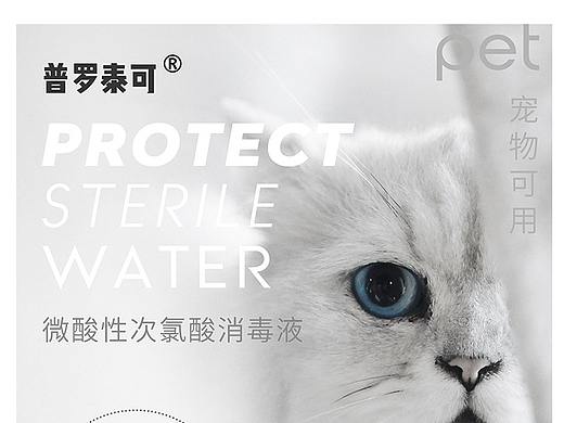 消毒液宣传海报 宠物用 家用 医用