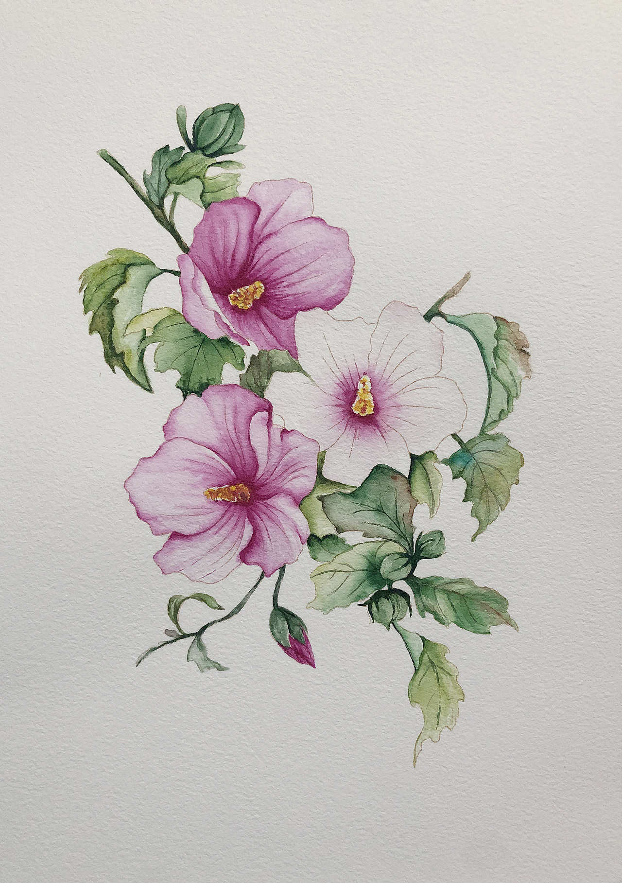 一些手绘 练习 临摹