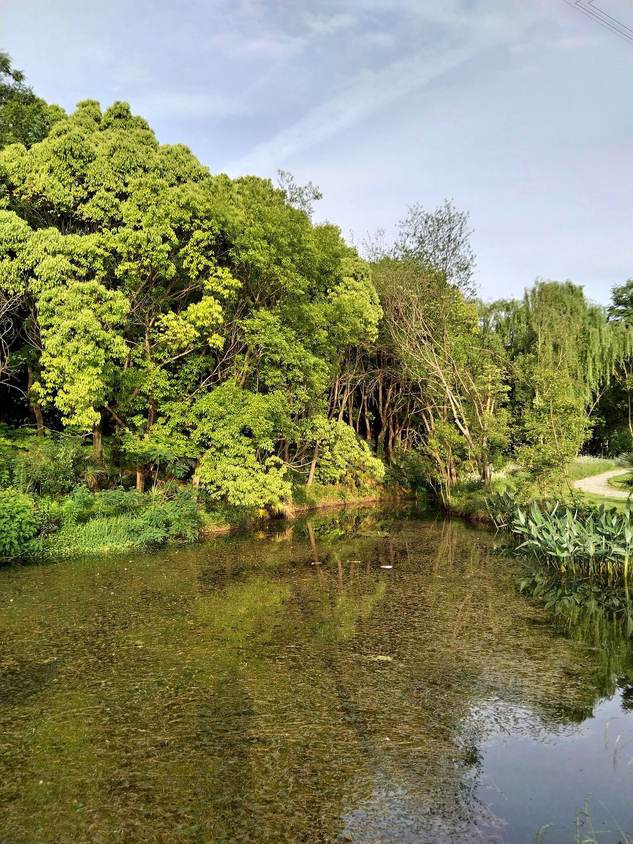 宝山.丰翔智秀公园