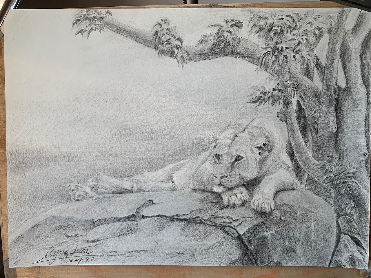 素描狮子