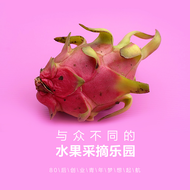 餐饮美食（图ZMTA5Nzc4MTE2） - 宣传物料 - 站酷设计师读书壮胆原创素材 - 站酷ZCOOL