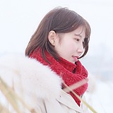 丸子球的头像
