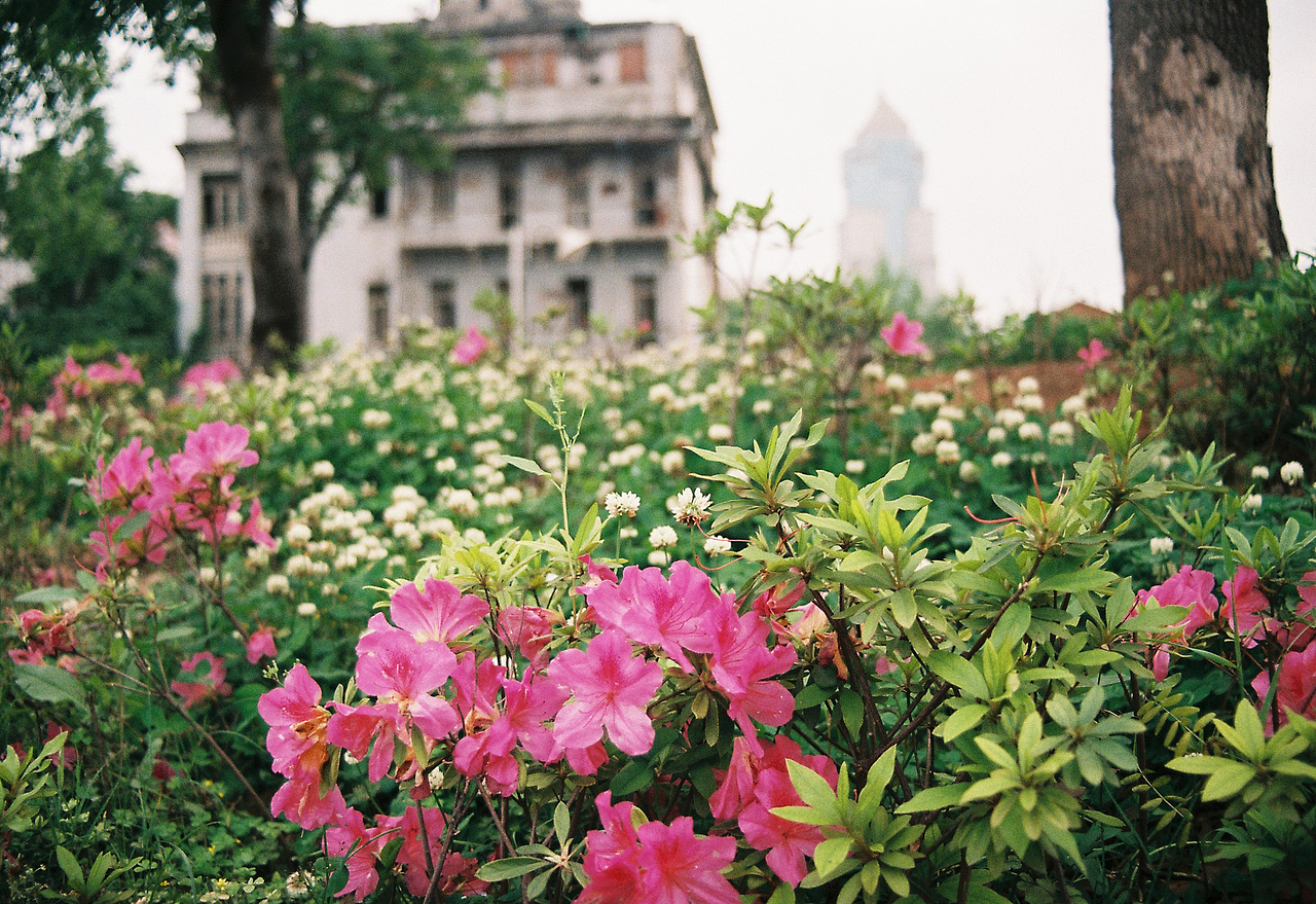 吴熙玮和他的胶片