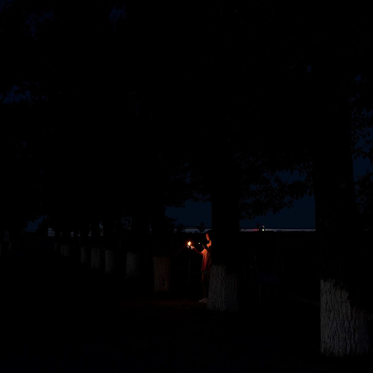 《平凡中的旺盛2》（图ZMzEyMTcxMDI0） - 人文/纪实摄影 - 站酷设计师BrianLu_Photo原创素材 - 站酷ZCOOL