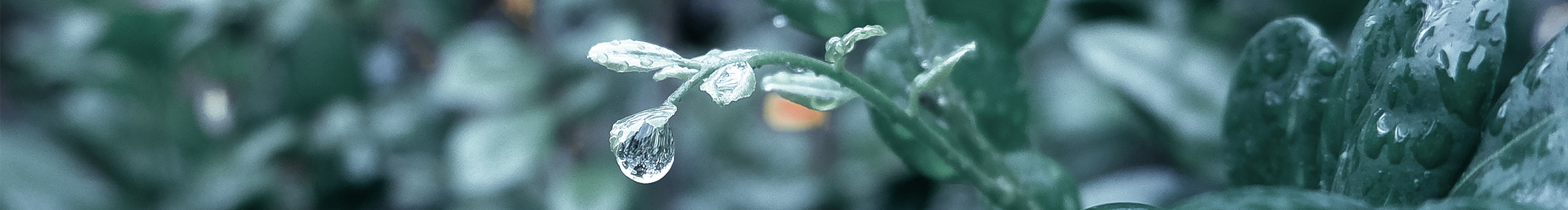 藍(lán)愛喜的個(gè)人主頁（封面預(yù)覽） - 主頁封面設(shè)置 - 站酷設(shè)計(jì)師藍(lán)愛喜原創(chuàng)素材 - 站酷ZCOOL