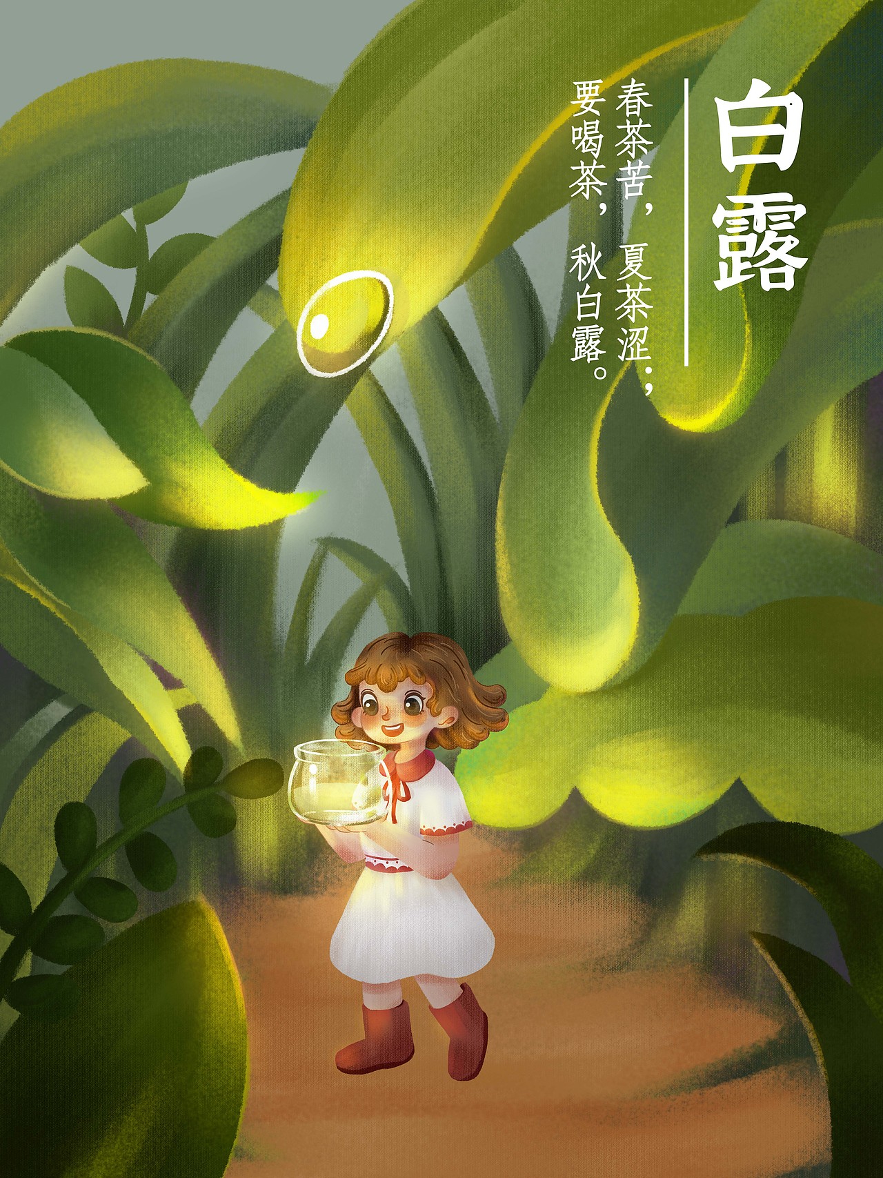 白露插画海报二十四节气插画