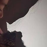 董渣渣的头像