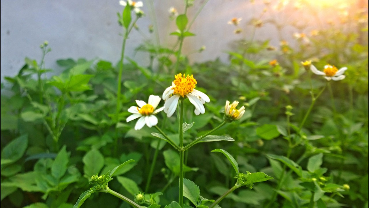 我的骑行日记-在路上与心灵的对话。【骑行的力量】-海口 HAIKOU