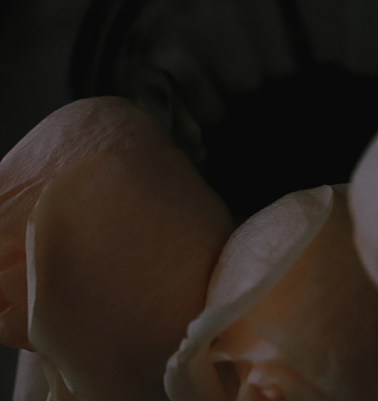 一组 草莓和黄玫瑰