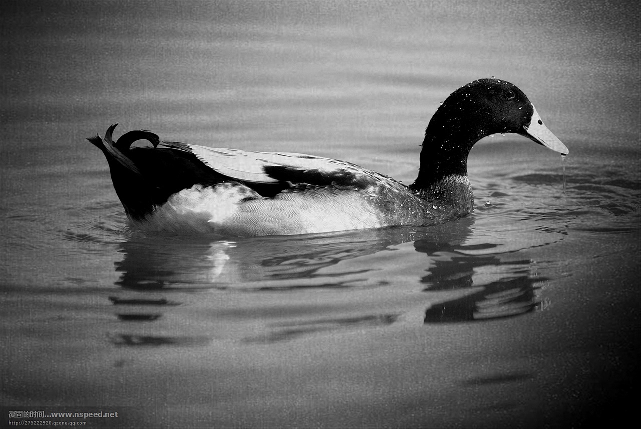 《丫丫》# layy的时光机 #