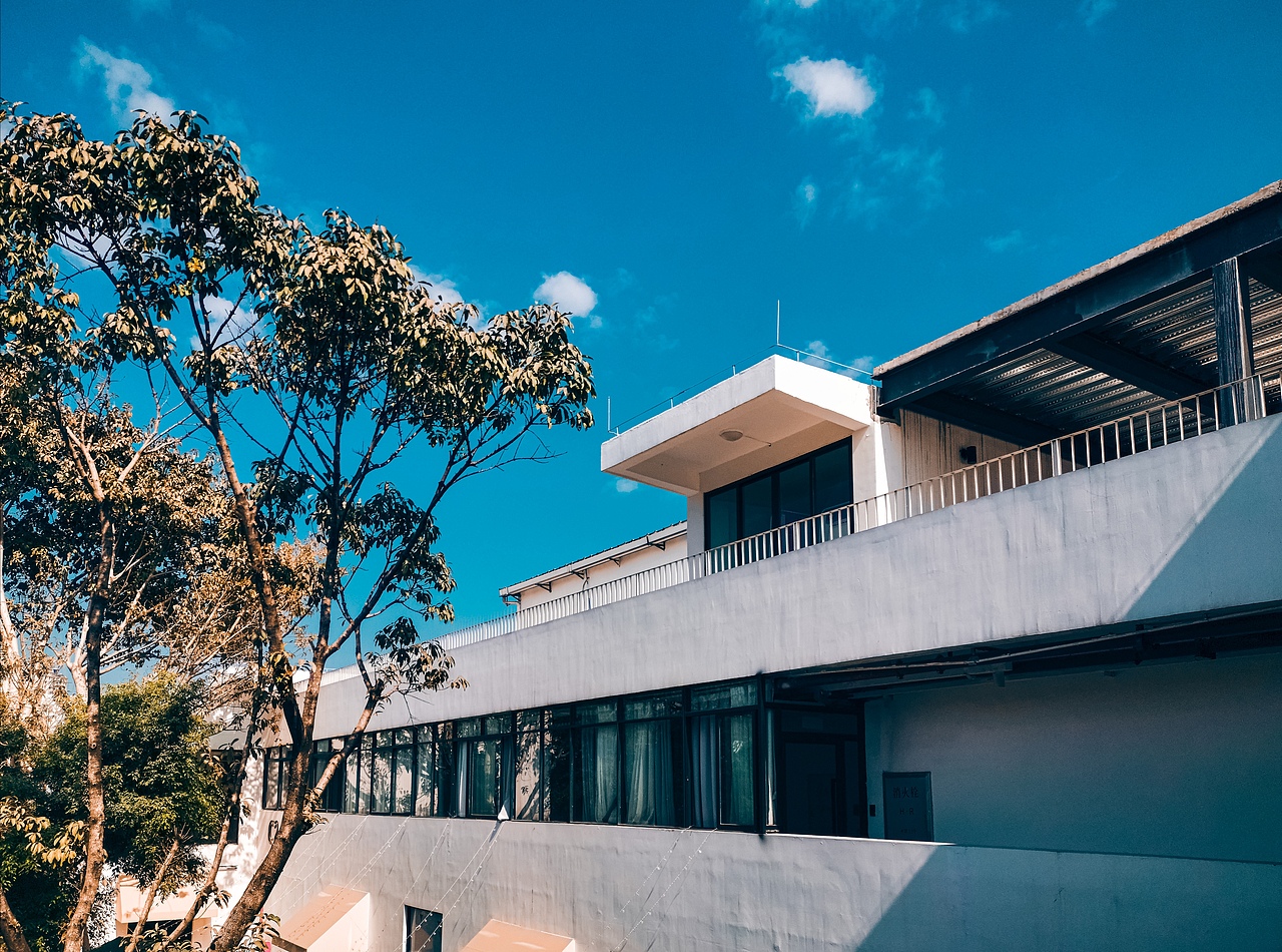 【手机摄影】天气好,拍啥都好!荣耀9X拍摄