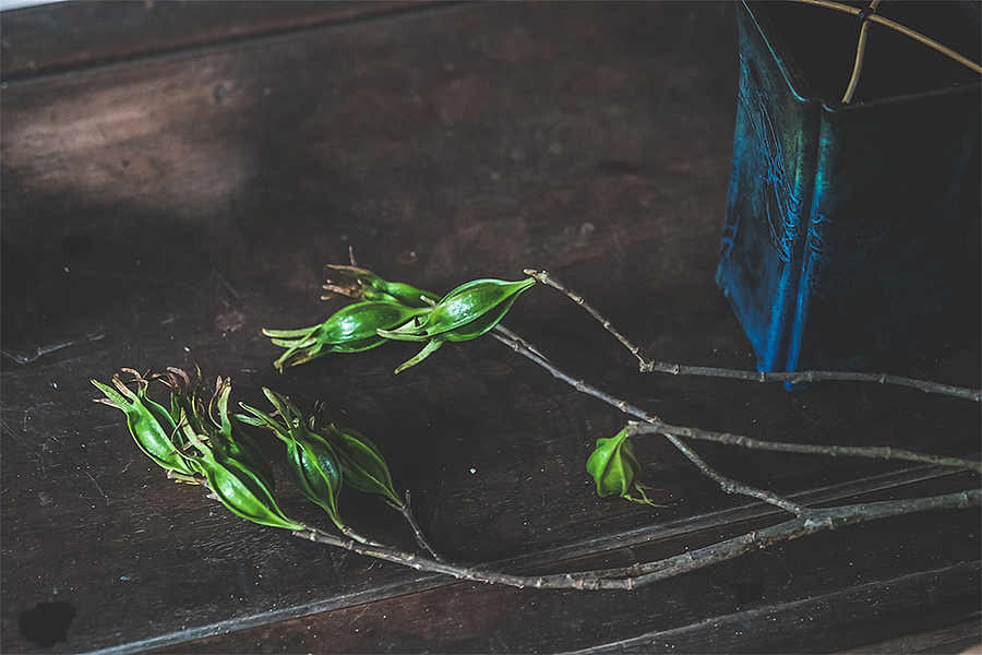 五玄土 || 花器《若兰》