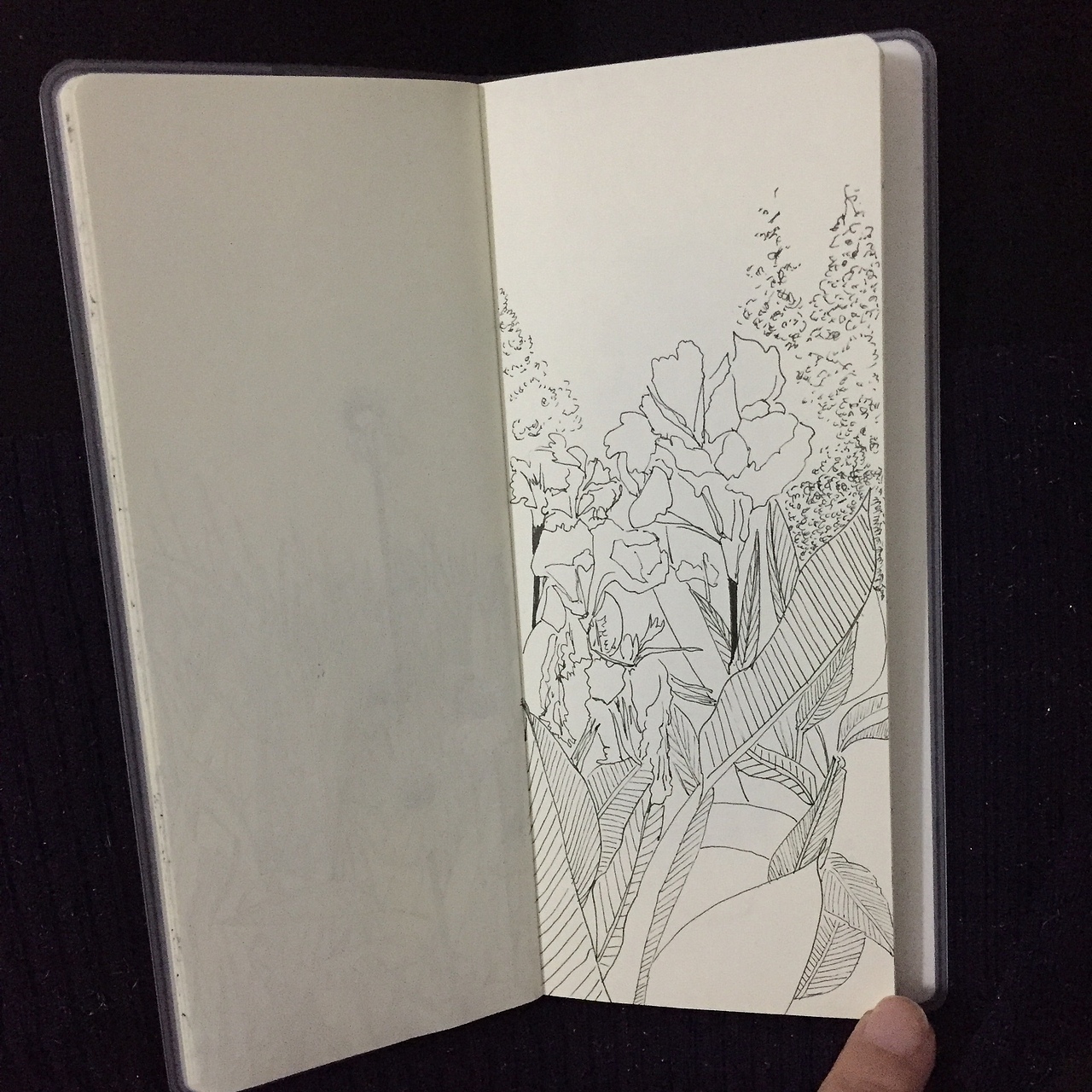 2020（图ZMTk0OTI4MTky） - 绘画 - 站酷设计师耳双原创素材 - 站酷ZCOOL