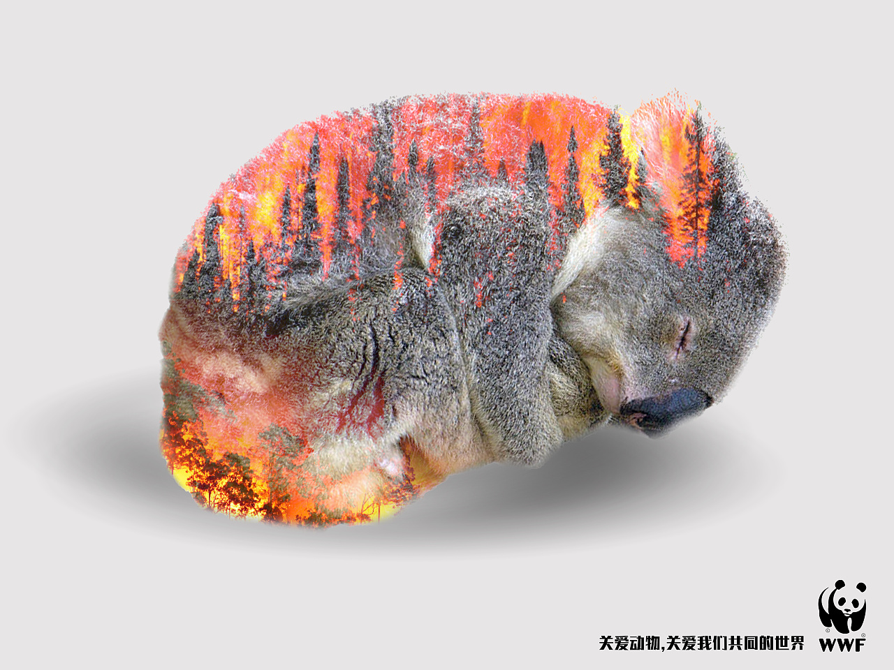 公益海报保护环境关爱野生动物