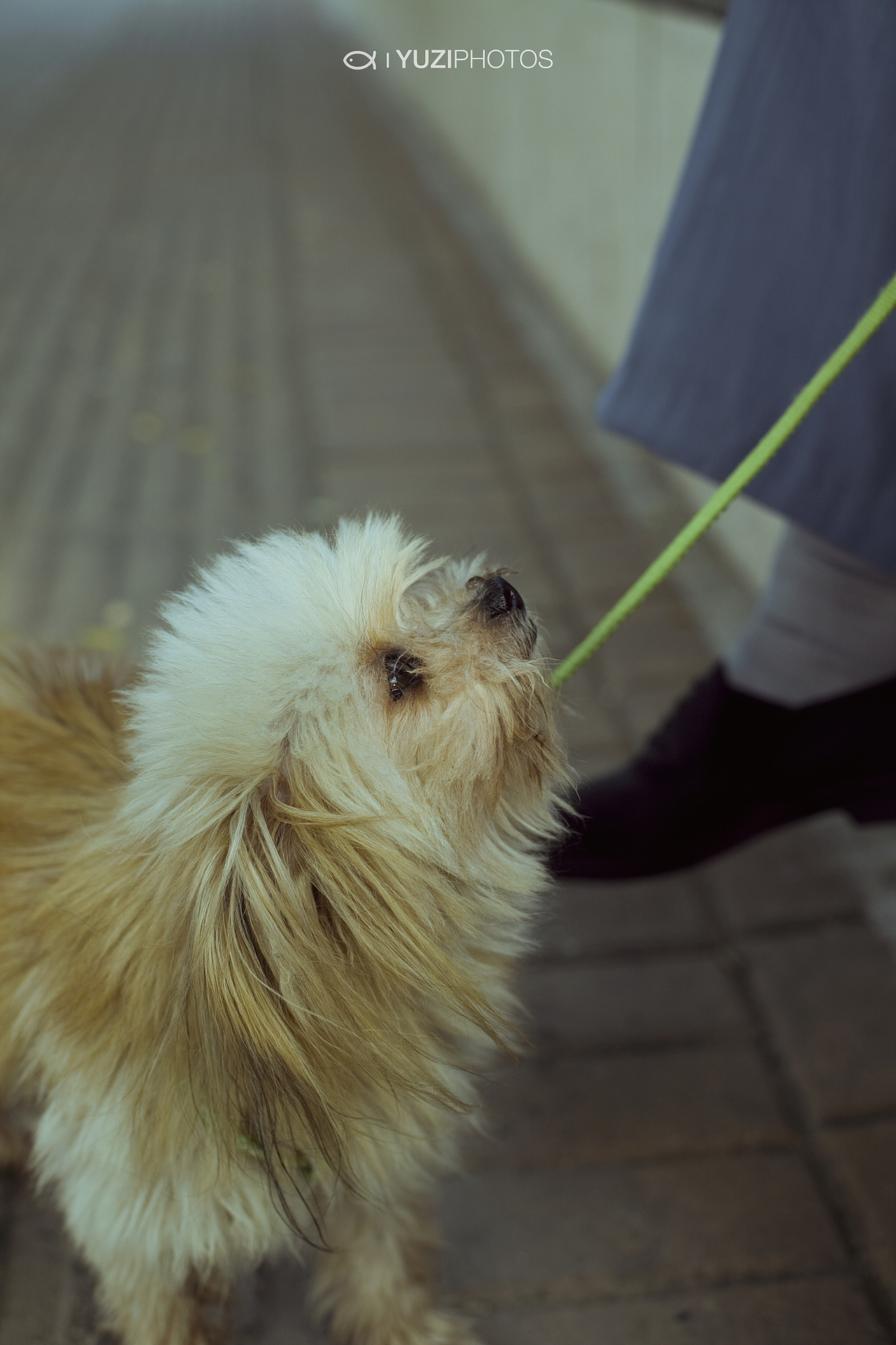 我们的十年（图ZNjk2NTk1Mg==） - 人文/纪实摄影 - 站酷设计师疯狂的鱼子原创素材 - 站酷ZCOOL