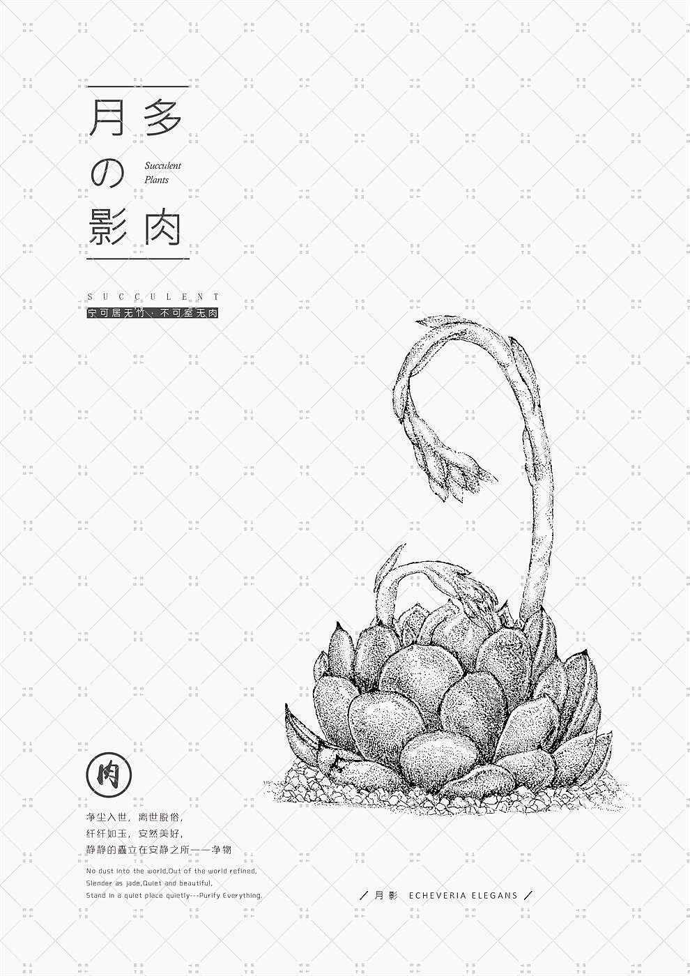 净物（素描多肉）（图ZMTM3OTI1MjI4） - 创作习作 - 站酷设计师ESTS原创素材 - 站酷ZCOOL