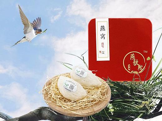 燕窝
