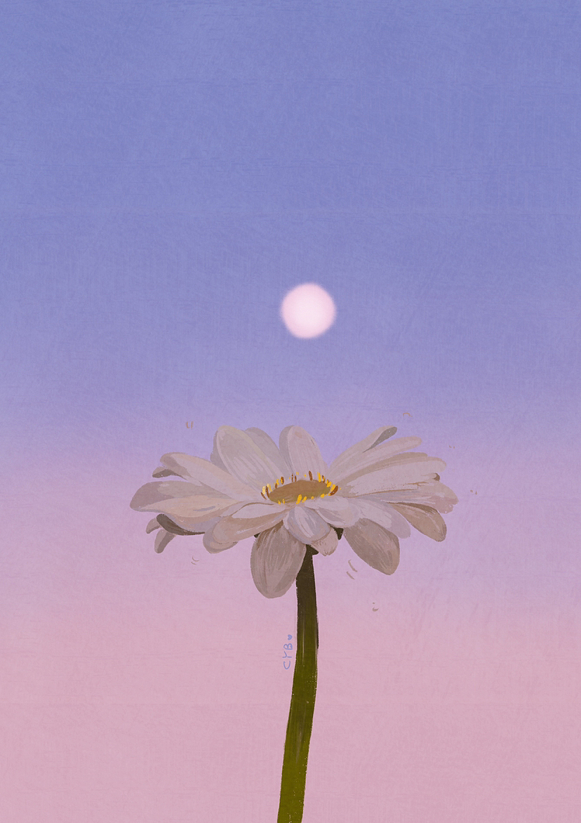 日夜繁花（图ZMzQxNTU4NTMy） - 艺术插画 - 站酷设计师贝娅原创素材 - 站酷ZCOOL