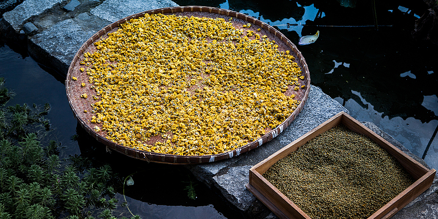 宏村的水，徽菜的盐（图ZMTk2NDg2MzY=） - 风光摄影 - 站酷设计师达尔达尼洋原创素材 - 站酷ZCOOL