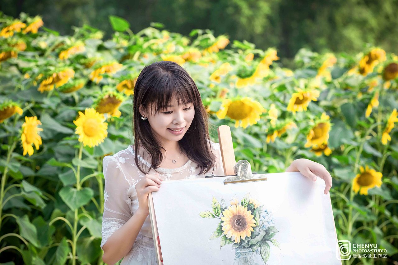 《向日葵的约定》