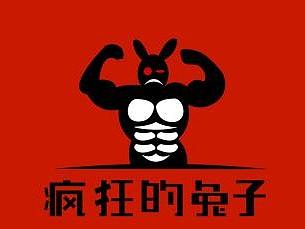 疯狂的兔子（个人主页-ZNDk3ODEzNTI=） - Logo - 站酷设计师47龙原创素材 - 站酷ZCOOL