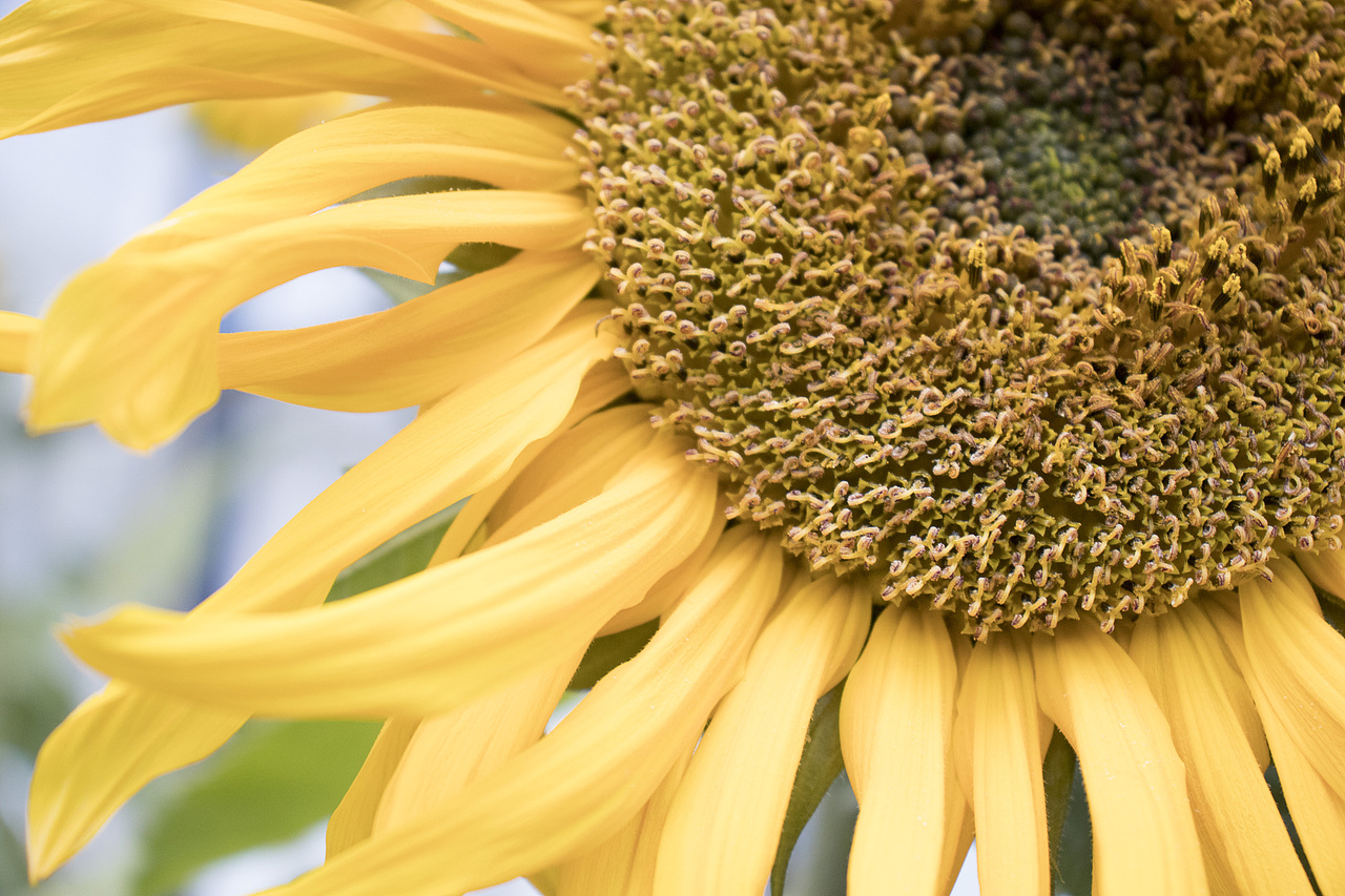 美丽的甘孜藏族（图ZMjEyNTAzMDQ4） - 风光摄影 - 站酷设计师dribbbled阿神原创素材 - 站酷ZCOOL