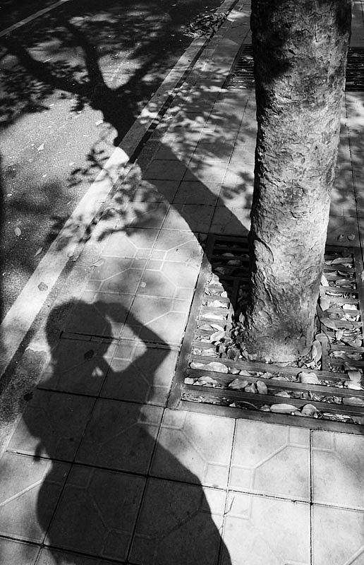 这是个光和影的世界