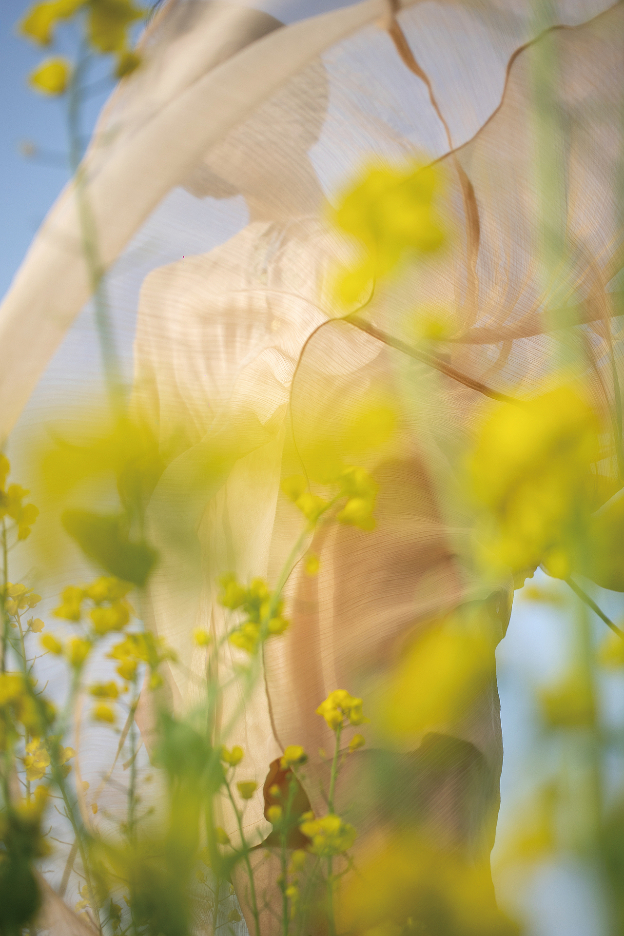 有些鸟儿是关不住的（图ZMjkxODA0MDc2） - 人像摄影 - 站酷设计师斯无鸡蛋原创素材 - 站酷ZCOOL