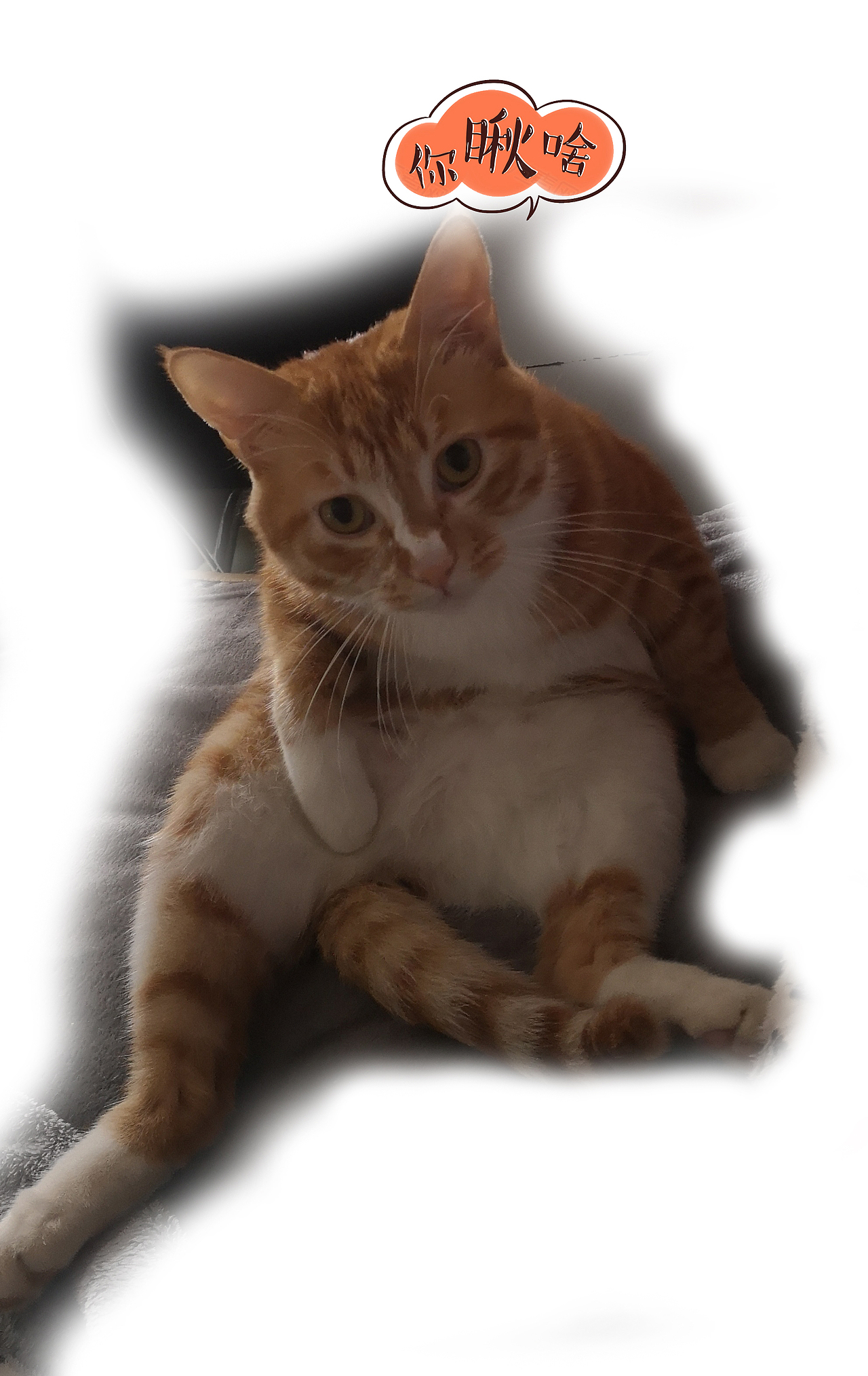 南康白起丶|现代算轻奢吗？（图ZMjc5MDM1NTU2） - 家装设计 - 站酷设计师南康白起丶原创素材 - 站酷ZCOOL