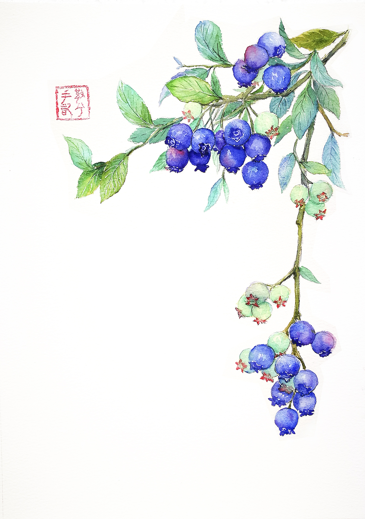 几幅水彩植物系列（图ZNzA5Nzk0OTY=） - 艺术插画 - 站酷设计师刈安L原创素材 - 站酷ZCOOL