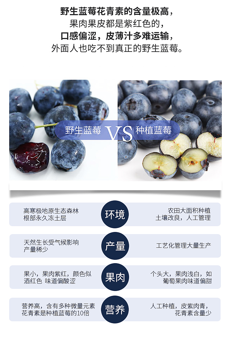 野生蓝莓原浆详情页（图ZMjA4NjQ0MjQ0） - 电商 - 站酷设计师缇元原创素材 - 站酷ZCOOL