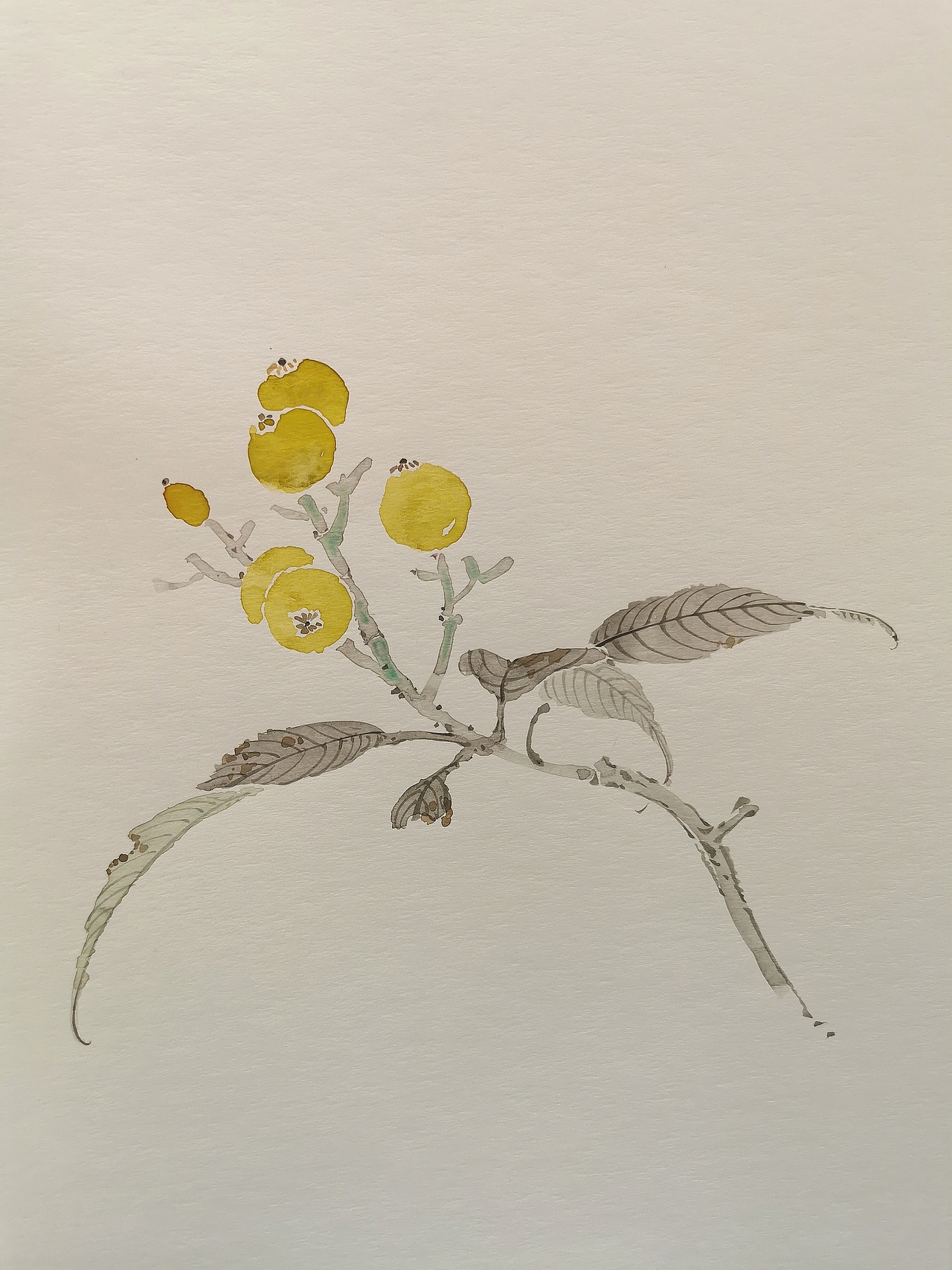 没骨