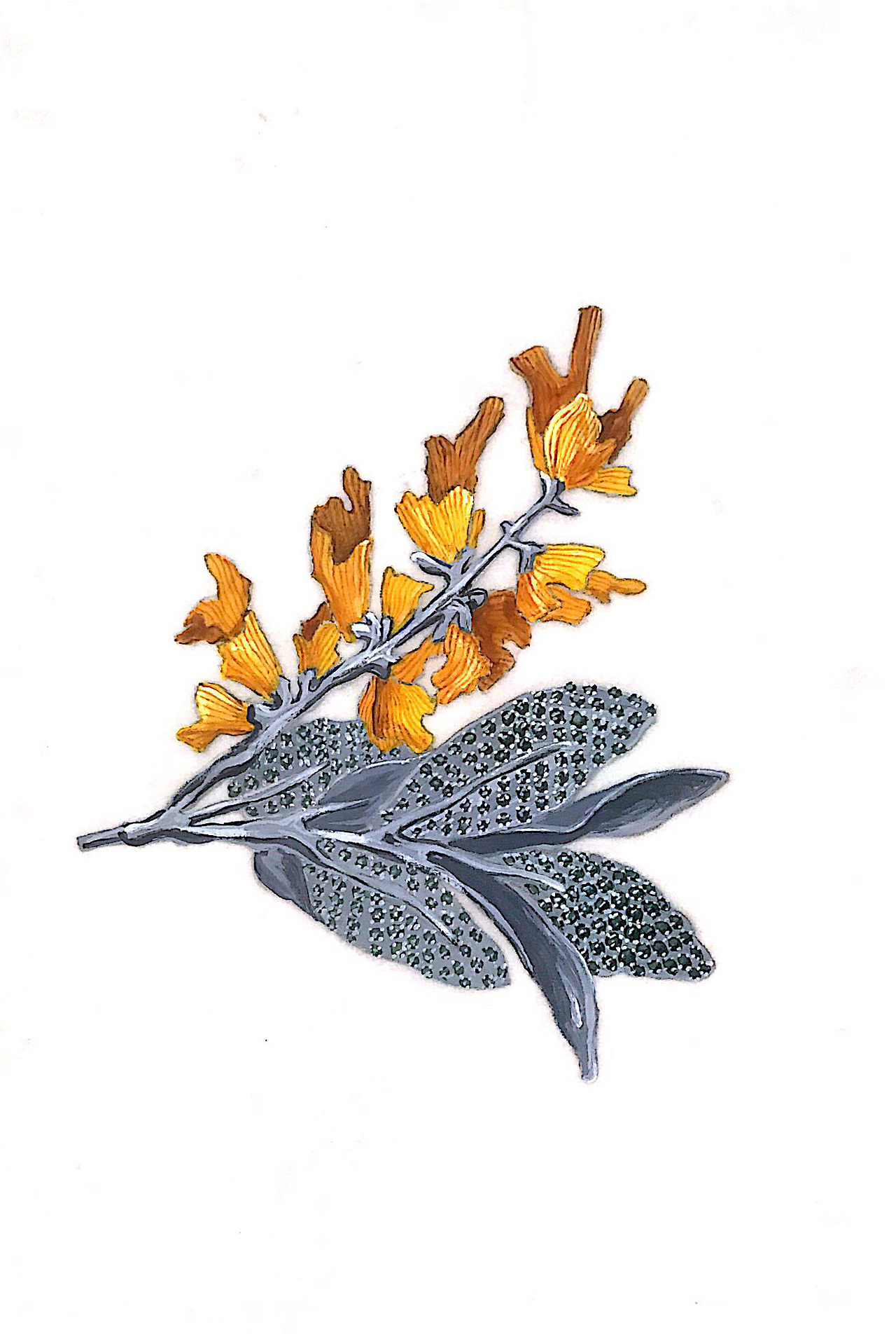 珠宝绘图|手工艺|首饰设计|婷子赵_原创作品-站酷(zcool)