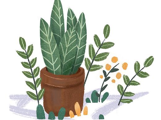 板绘插画