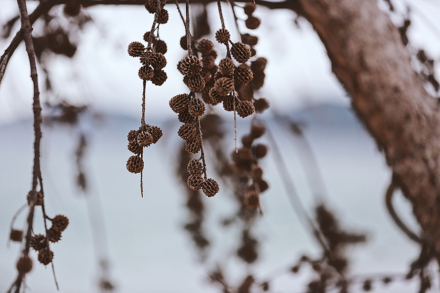 我们在十一月过了一个夏天（图ZNjYyNjI3OTY=） - 风光摄影 - 站酷设计师HoowooH原创素材 - 站酷ZCOOL