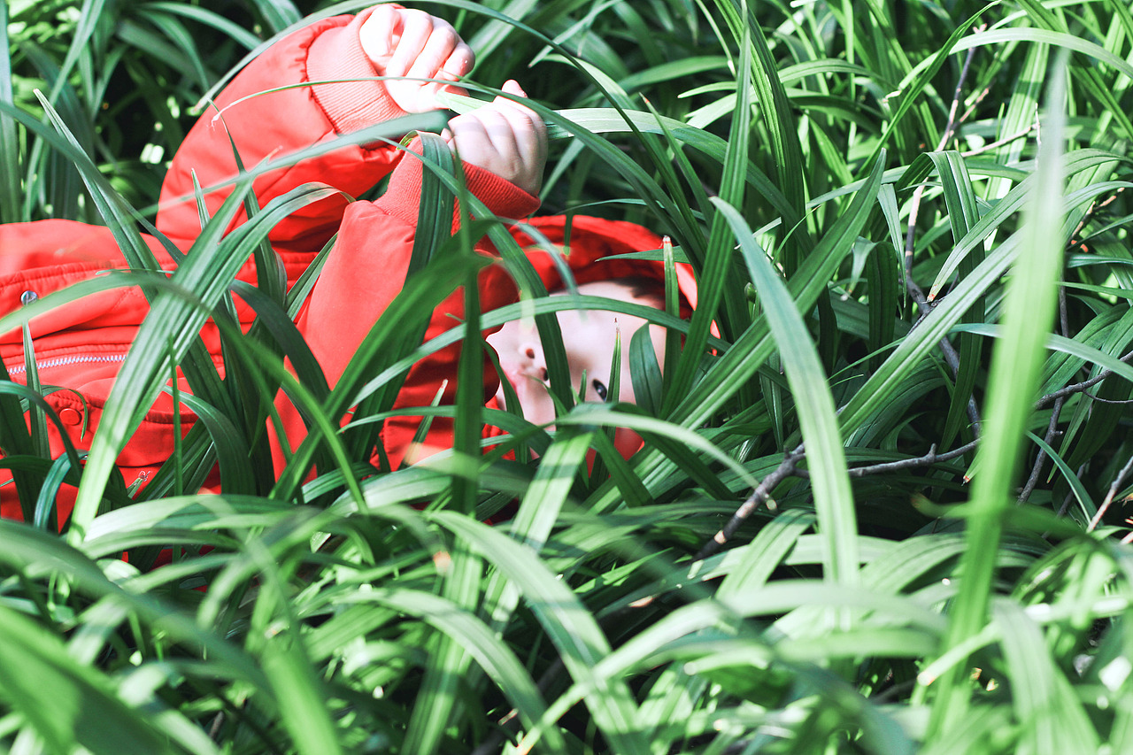 植物园的探险（图ZNzA4ODE5MDg=） - 人像摄影 - 站酷设计师蛋蛋的云云原创素材 - 站酷ZCOOL