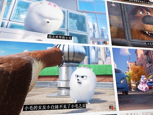 FCPX插件：20个照片墙视频墙生成器