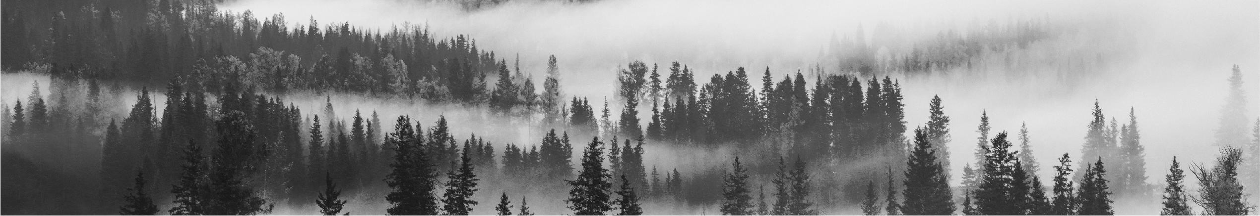 研物造境的个人主页（封面预览） - 主页封面设置 - 站酷设计师研物造境原创素材 - 站酷ZCOOL